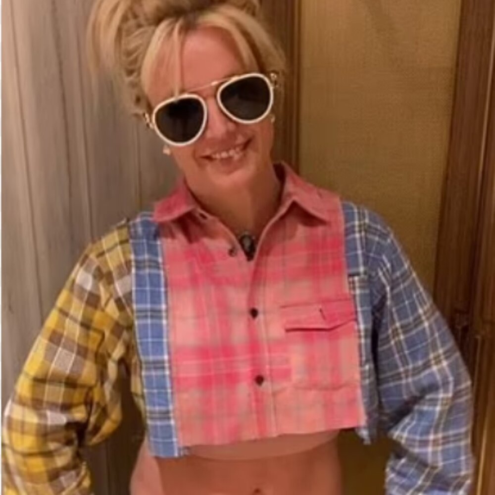 Better Be | NWT Cropped Plaid / Flannel Button Up Longsleeve Shirt